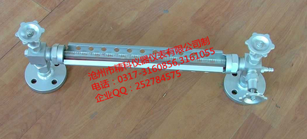 1645413246213036.png 雙色玻璃管液位計(jì)(物位).png